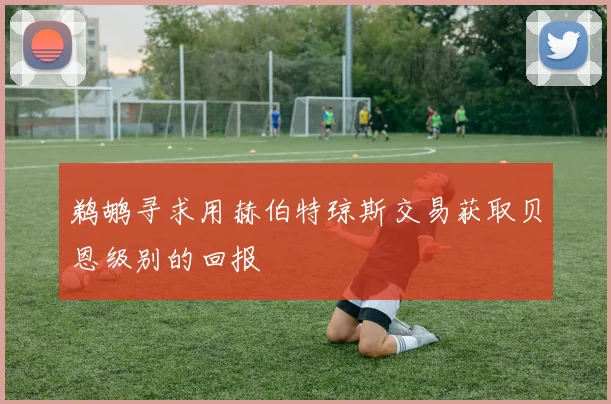 鹈鹕寻求用赫伯特琼斯交易获取贝恩级别的回报