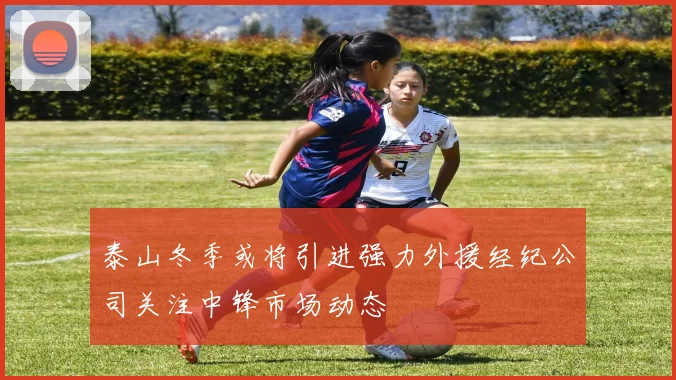 泰山冬季或将引进强力外援经纪公司关注中锋市场动态