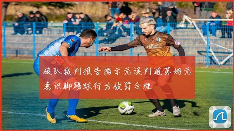 狼队裁判报告揭示无误判道苏姆无意识脚踢球行为被罚合理